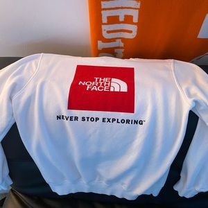 Mens north face sweater